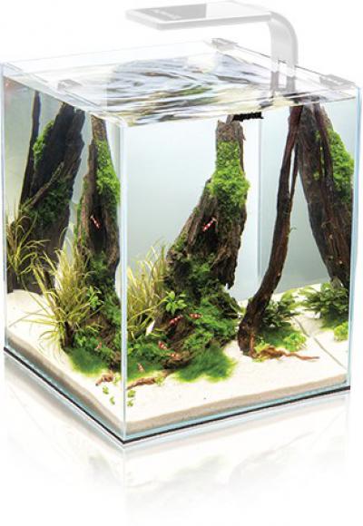 Aquael SHRIMP SET SMART 2 20 WHITE - Krewetkarium