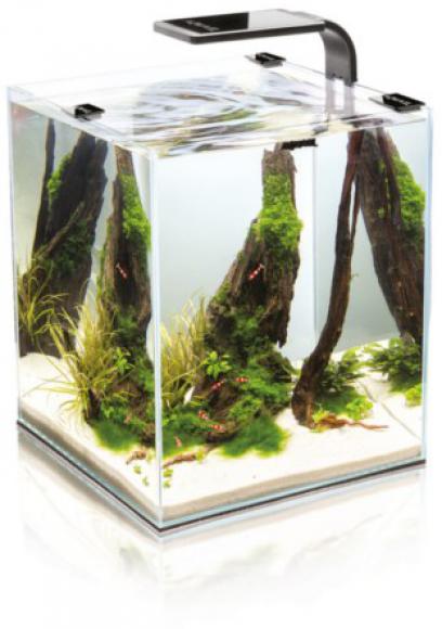 Aquael SHRIMP SET SMART 2 30 BLACK - Krewetkarium