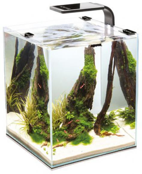 Aquael SHRIMP SET SMART 2 20 BLACK - Krewetkarium