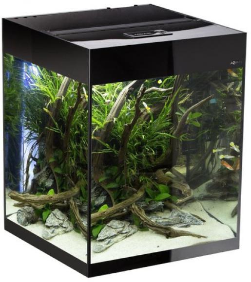 AQUAEL Glossy Cube LED 135L 50x50x63L - czarne akwarium