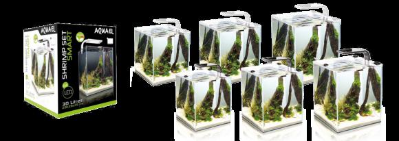 Aquael SHRIMP SET SMART 2 30 WHITE - Krewetkarium