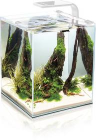 Aquael SHRIMP SET SMART 2 20 WHITE  Krewetkarium