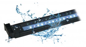 FV5541